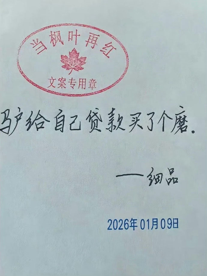 驴给自己贷款买了个磨